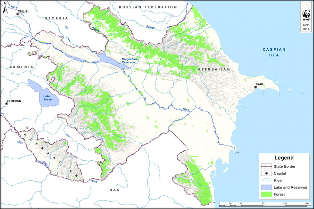 В Азербайджане появится электронная карта лесов