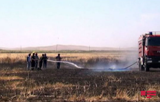 МЧС Азербайджана о пожаре на приграничной полосе в Газахе