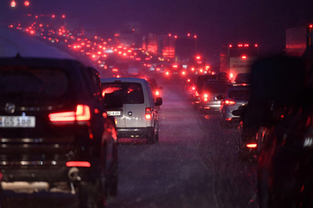 Фото: Andreas Gebert / Reuters