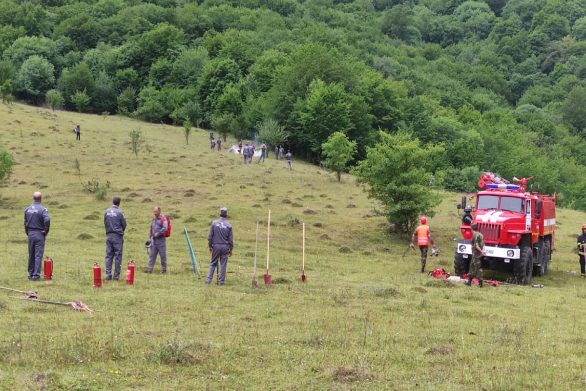 МЧС Азербайджана и МЭПР провели совместные учения по тушению лесных пожаров-ФОТО 