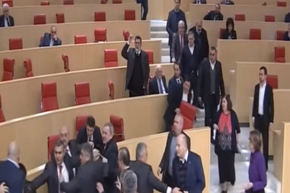 Грузинские депутаты устроили драку в зале заседаний-ВИДЕО 