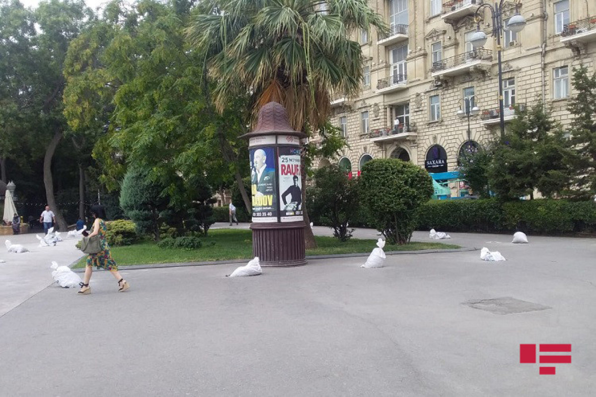 В Баку определено место установки памятника Зейналабдину Тагиеву-ФОТО 