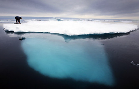 Фото: John McConnico / AP