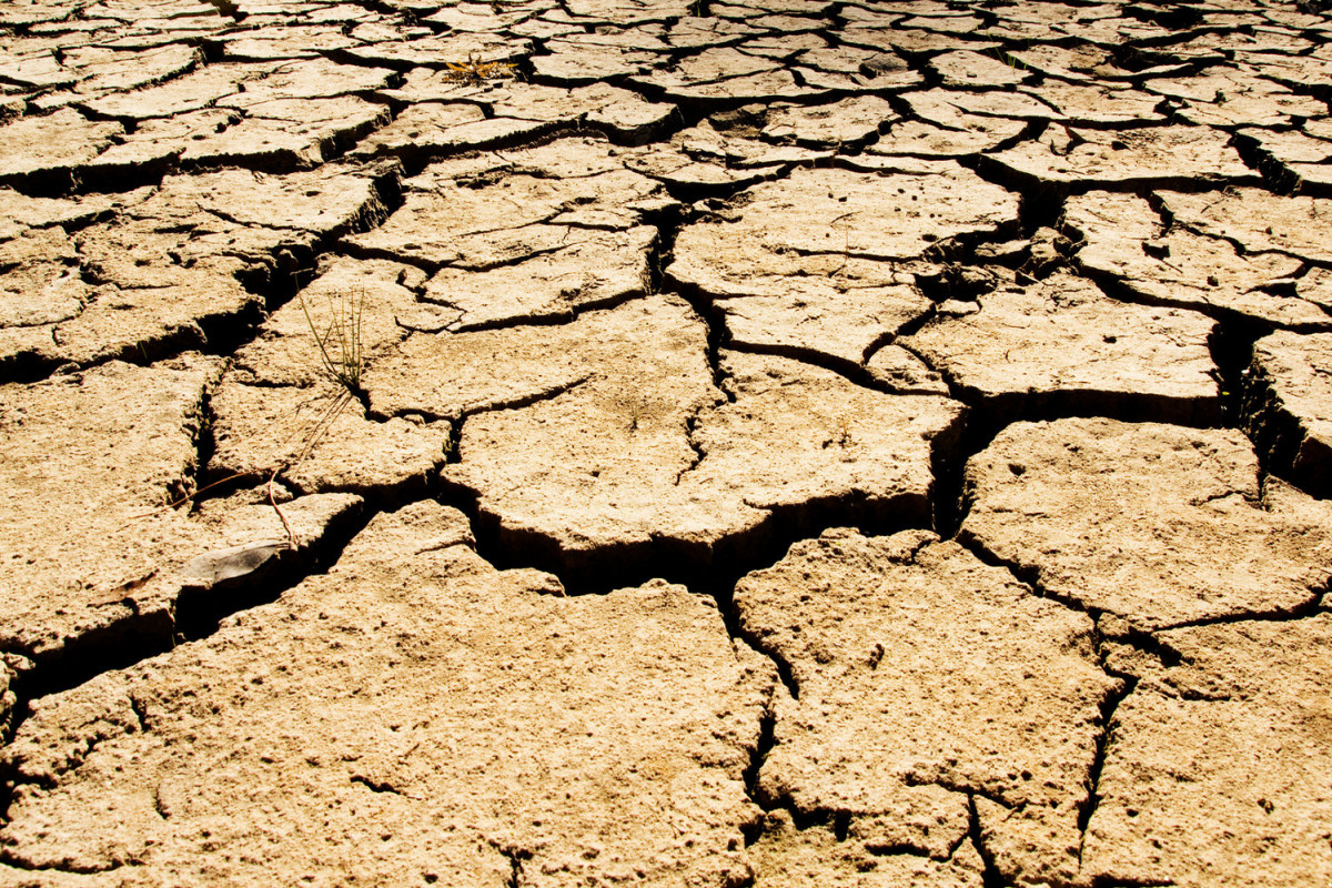 Засухи унесли жизни более полумиллиона человек за последние 50 лет