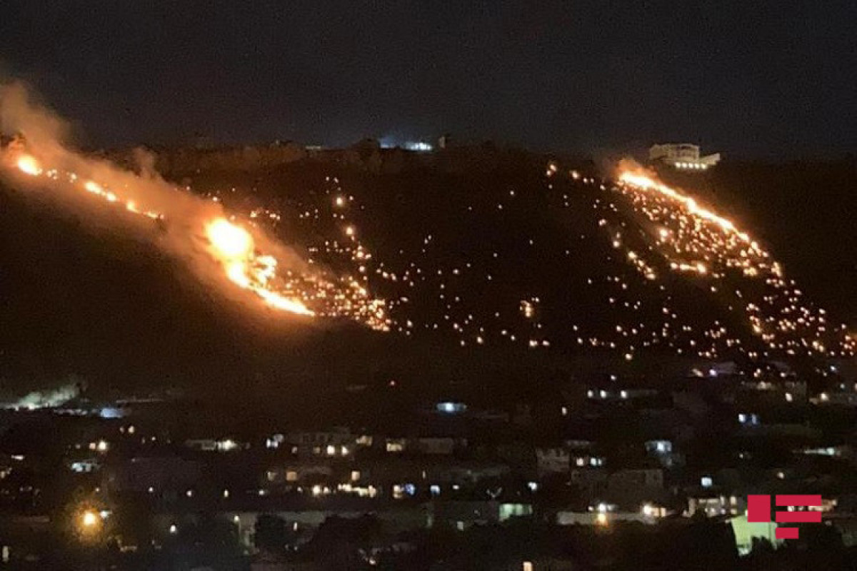 Потушен пожар на склоне горы в поселке Бадамдар -ФОТО -ОБНОВЛЕНО 