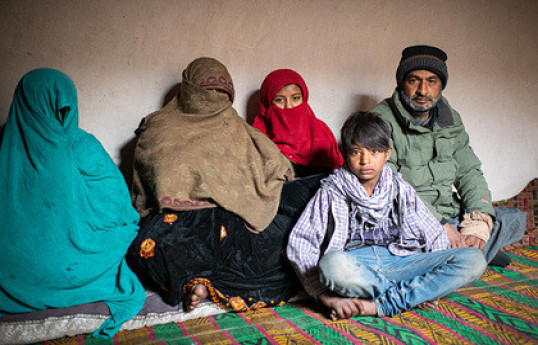 Фото: Arne Immanuel Bänsch / Getty Images