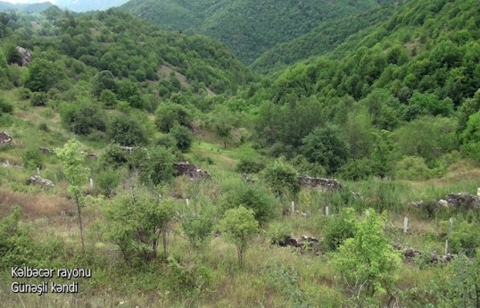 Село Гюнешли Кяльбаджарского района-ВИДЕО 
