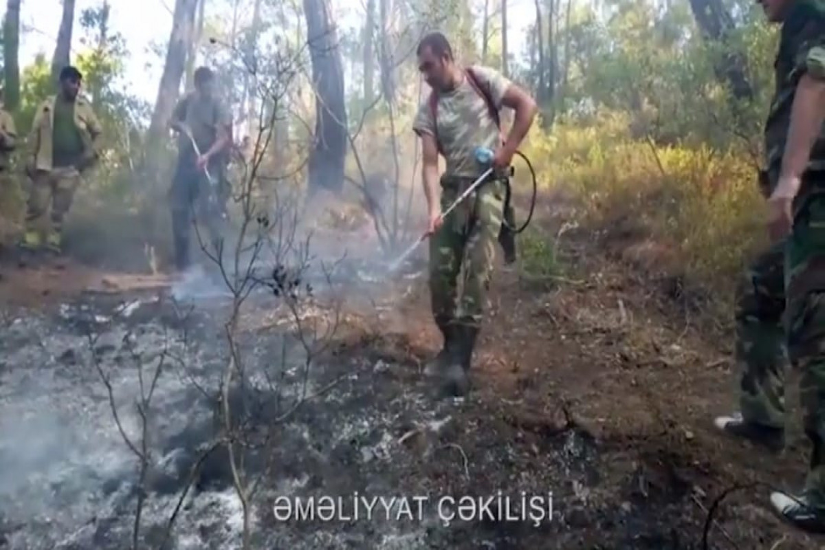 Силы МЧС Азербайджана продолжают тушение пожаров в Турции-ВИДЕО 