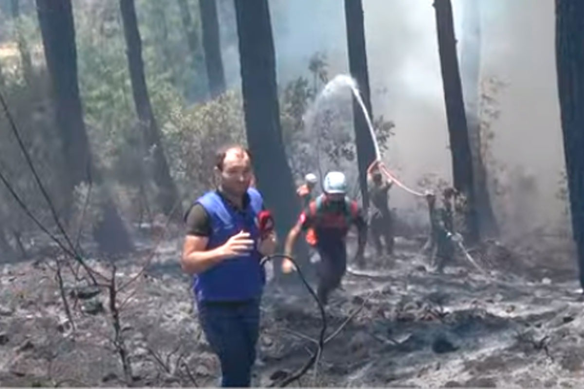 Азербайджанские пожарные плечом к плечу с турецкими коллегами борются с пожарами-ВИДЕО 
