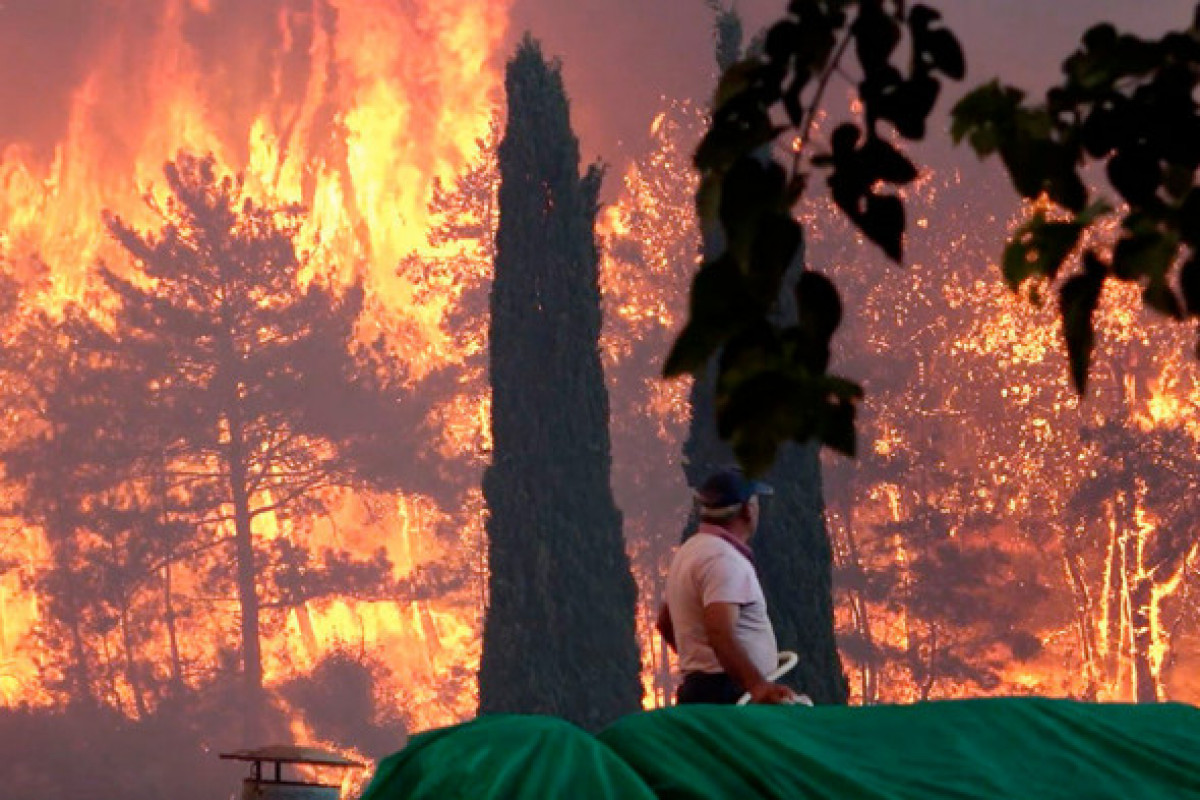 Эрдоган похвалил азербайджанских пожарных за тушение лесных пожаров