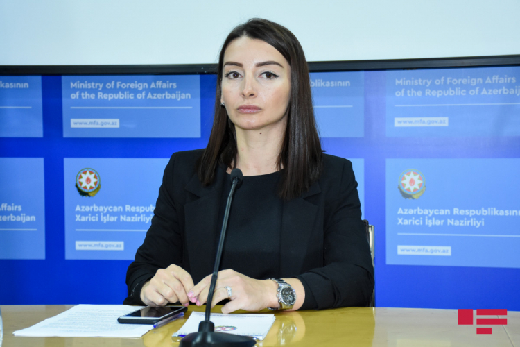 Лейла Абдуллаева: Требуем выполнения Арменией обязательств по международному праву