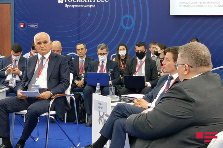 Заместитель премьер-министра Азербайджана выступил в дискуссиях на ПМЭФ