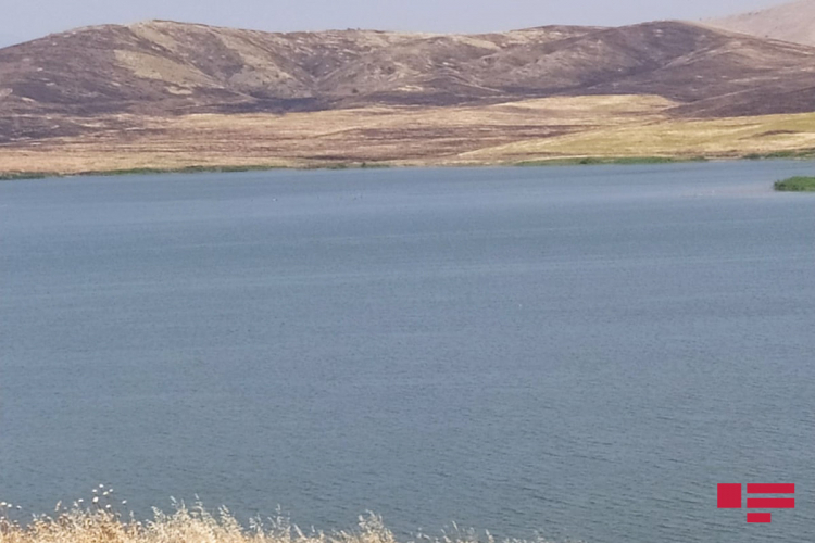 Журналисты побывали на водохранилище Ашагы Конделенчай в Физули - ФОТО