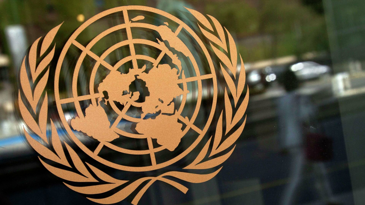 ООН предрекла миру новую пандемию
