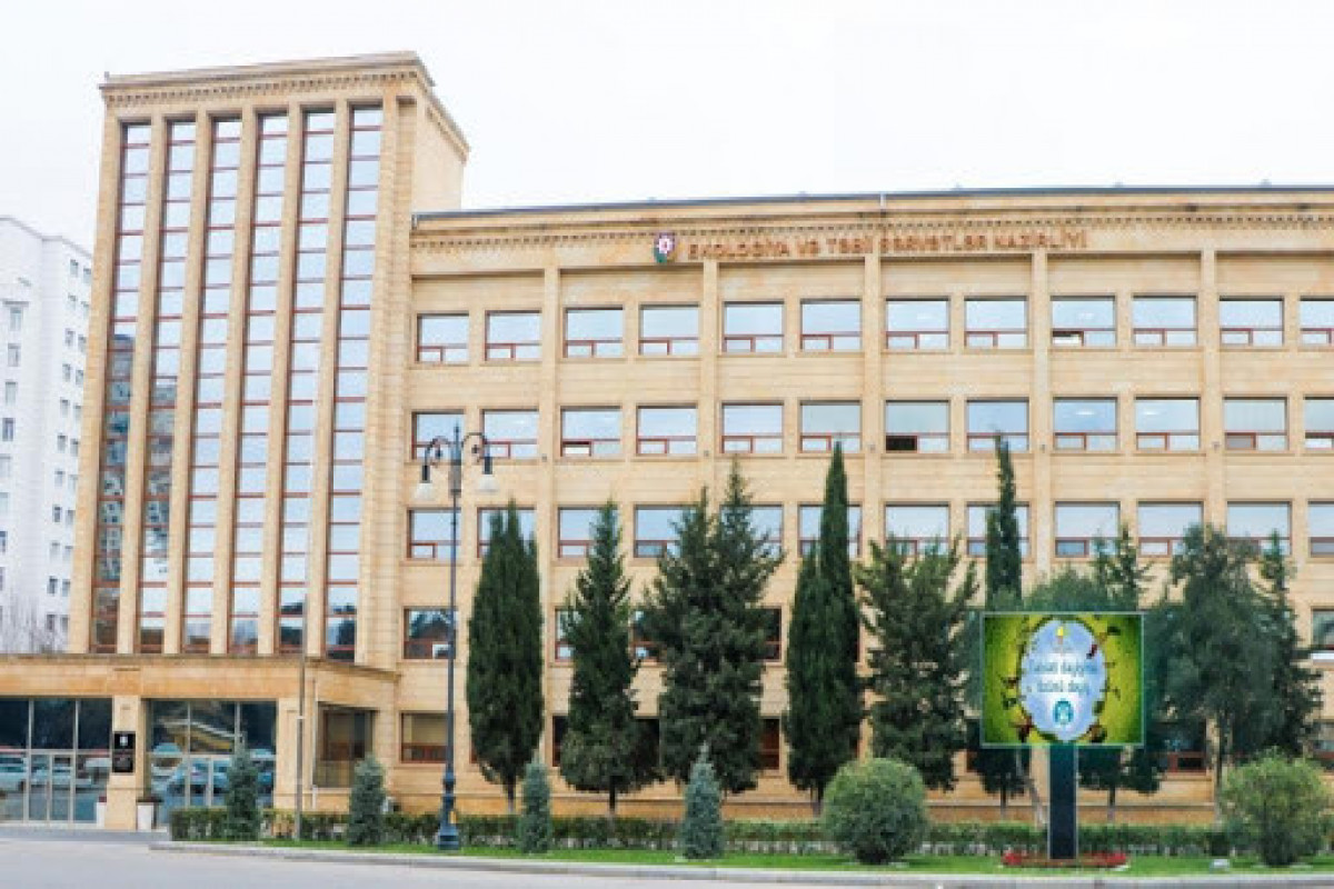 В Азербайджане увеличился парк автомобилей