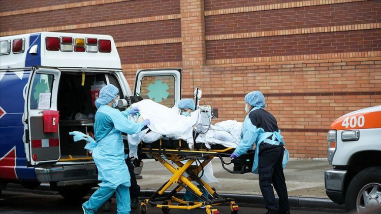 Число случаев COVID-19 в США выросло на 51 тысячу за сутки