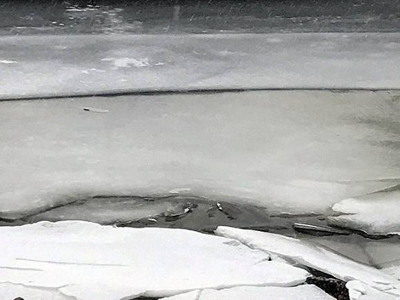 В России в ледяной воде погибла семья с тремя детьми
