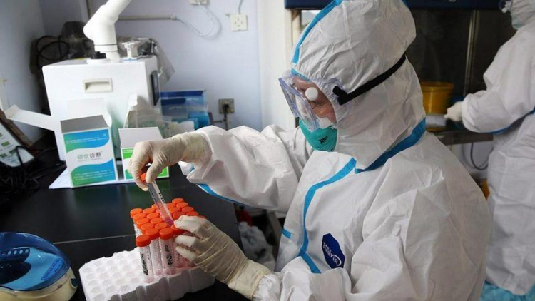 В Японии обнаружили неизвестный штамм коронавируса
