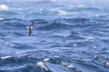 Доказано существование водного мира на Земле в прошлом

