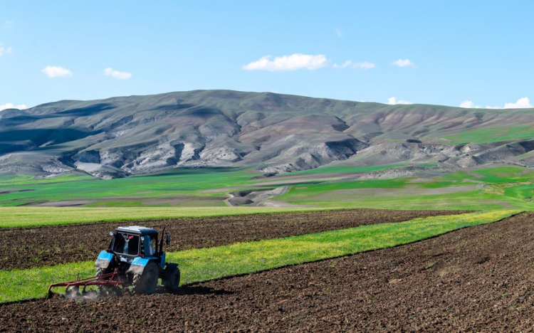В Азербайджане аграрный сектор вырос более чем на 2%
