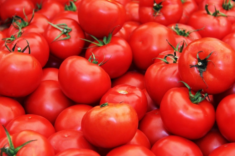 Россия сняла запрет на ввоз томатов с восьми азербайджанских предприятий
