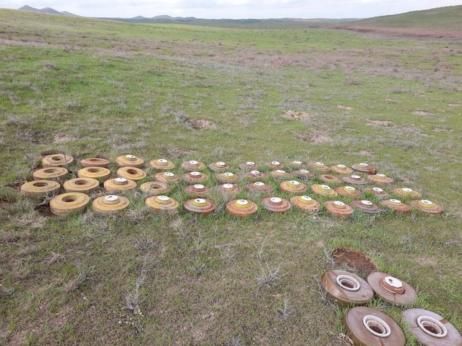 Полиция Лачинского района обнаружила мины