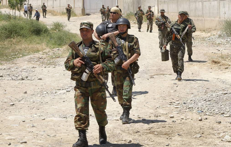 МВД Киргизии и Таджикистана договорились о патрулировании сел на границе
