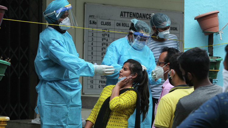 В Индии выявили третий вид плесени у пациента после COVID-19
