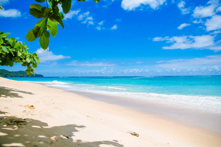 Названы самые чистые пляжи мира
