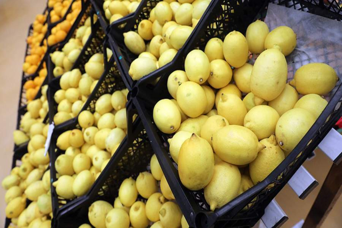 Россия приостановила импорт лимонов из Турции