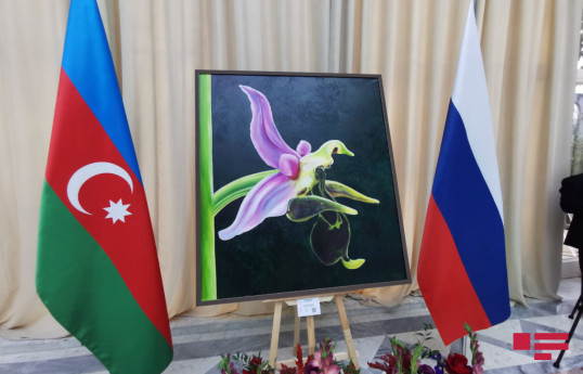 В Москве открылась фотовыставка, посвященная Дню Победы и Дню государственного флага Азербайджана
