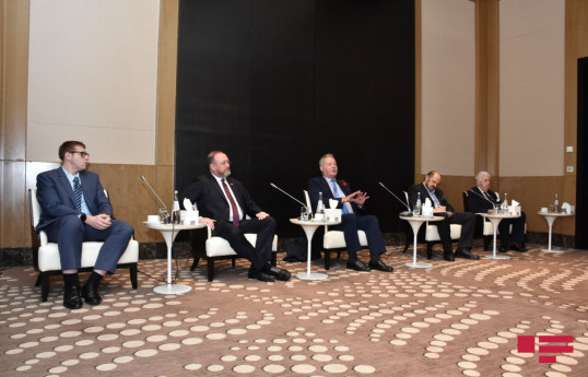 Британский парламентарий: Мы увидели, как во время оккупации были разрушены населенные пункты Азербайджана