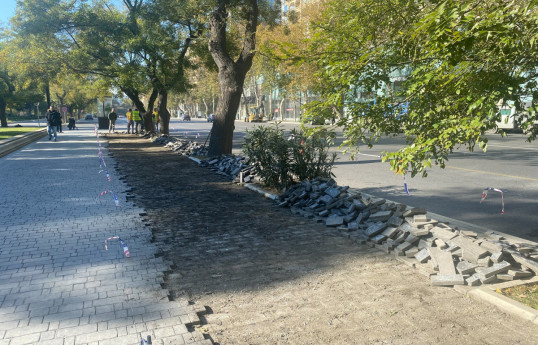 В Баку начато строительство велодорожки протяженностью 7,5 км