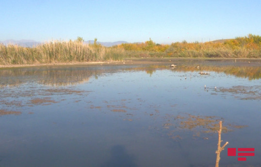 Армяне во время оккупации изменили русло реки Хякяри и превратили территорию трех сел в болото-ФОТО -ВИДЕО 