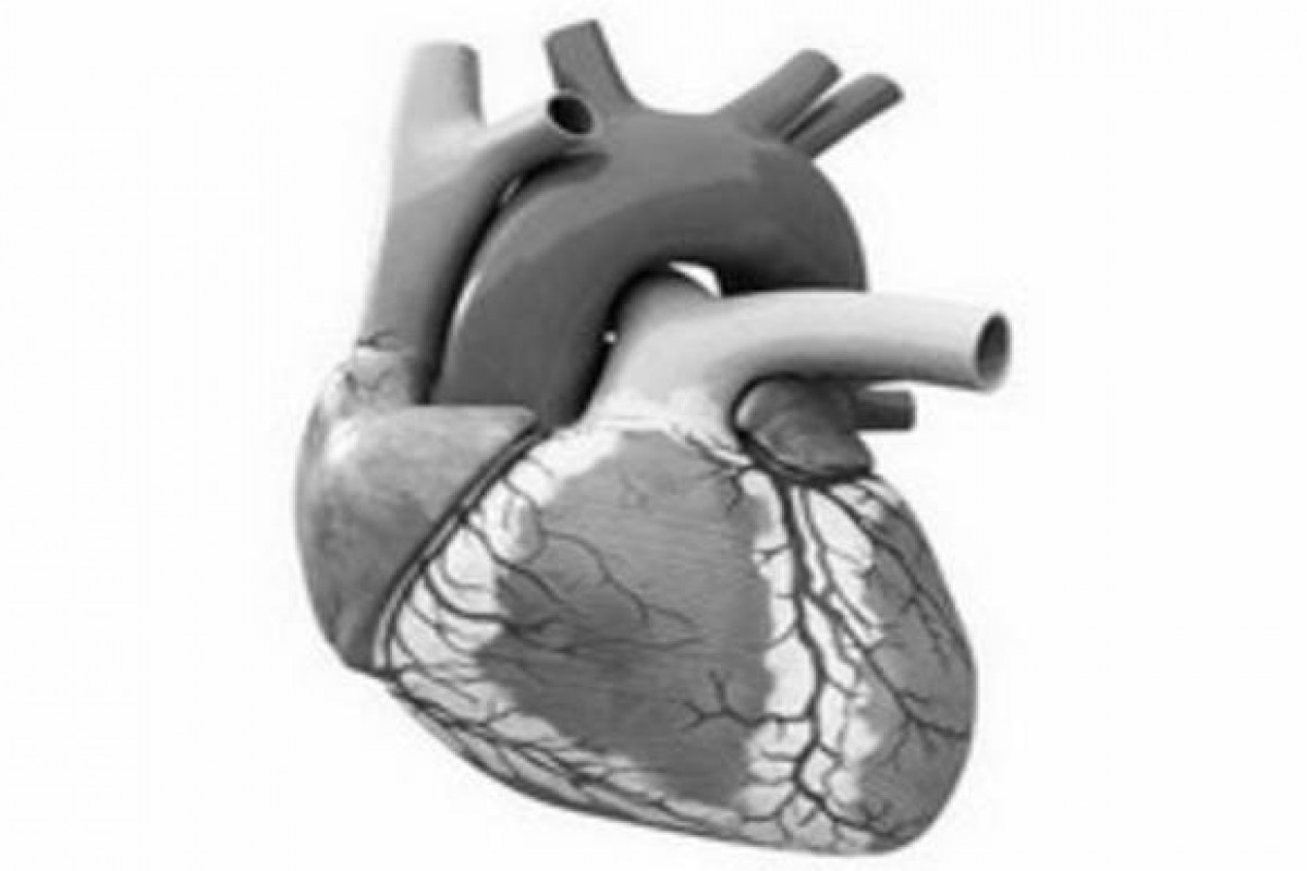 Ученые нашли неочевидный фактор развития сердечных болезней