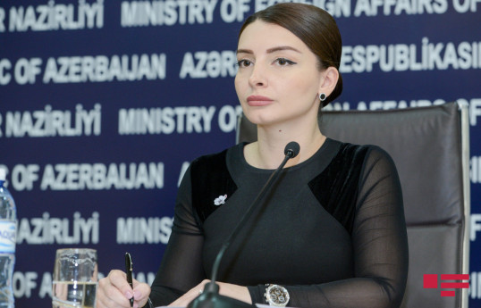 Лейла Абдуллаева: Армения несет ответственность за свои военные преступления