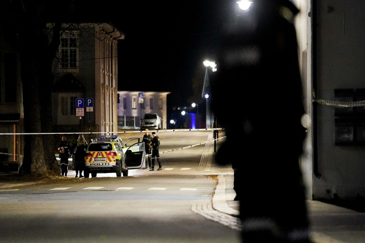 Полиция рассказала о подозреваемом, убившем из лука пять человек в Норвегии