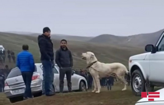 События в этом азербайджанском селе прогремели по всей стране, но виновники понесут наказание – ВИДЕО  