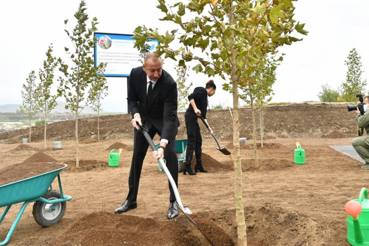 Президент и первая леди посадили дерево в Центральном городском парке-ФОТО 