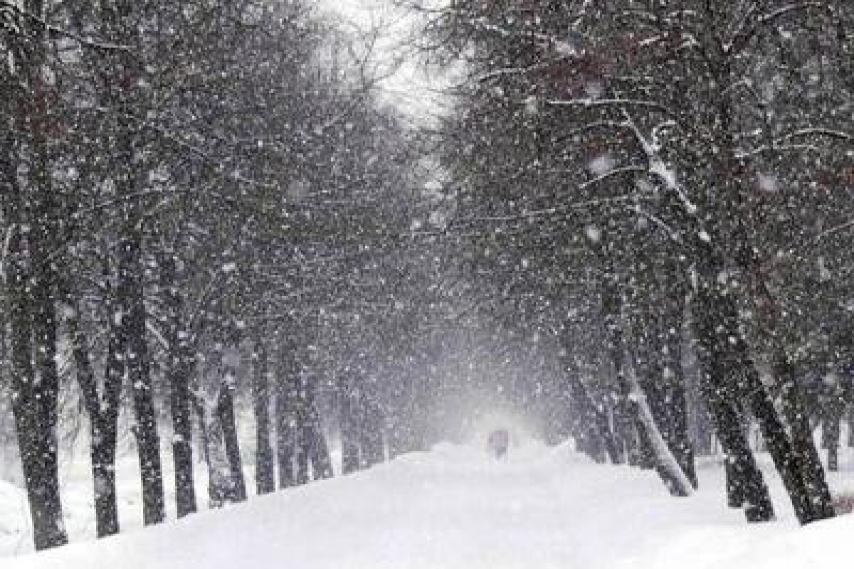 На завтра в Азербайджане прогнозируется снегопад