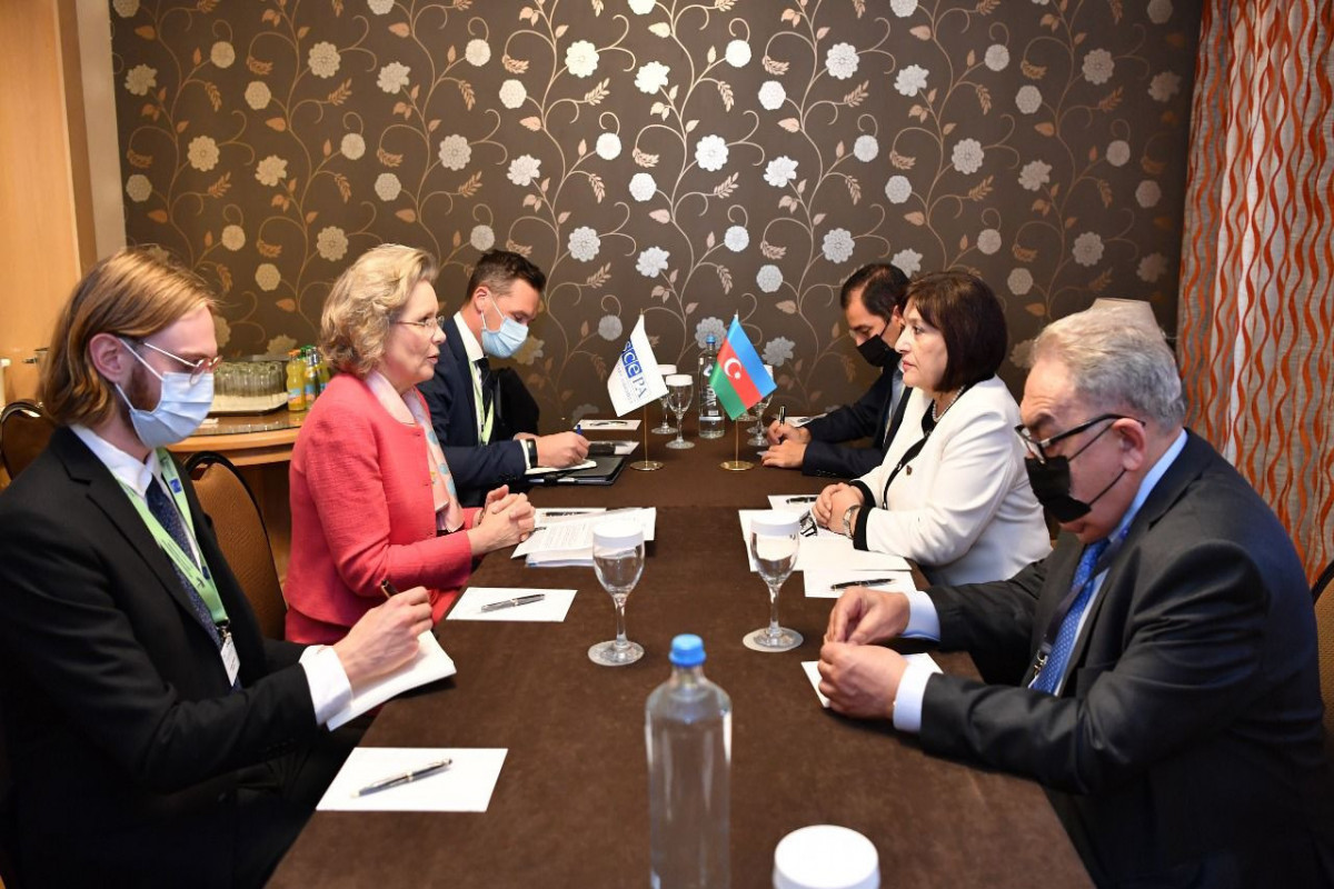 Спикер Милли Меджлиса запретила представителю ОБСЕ использовать термин "нагорно-карабахский конфликт"