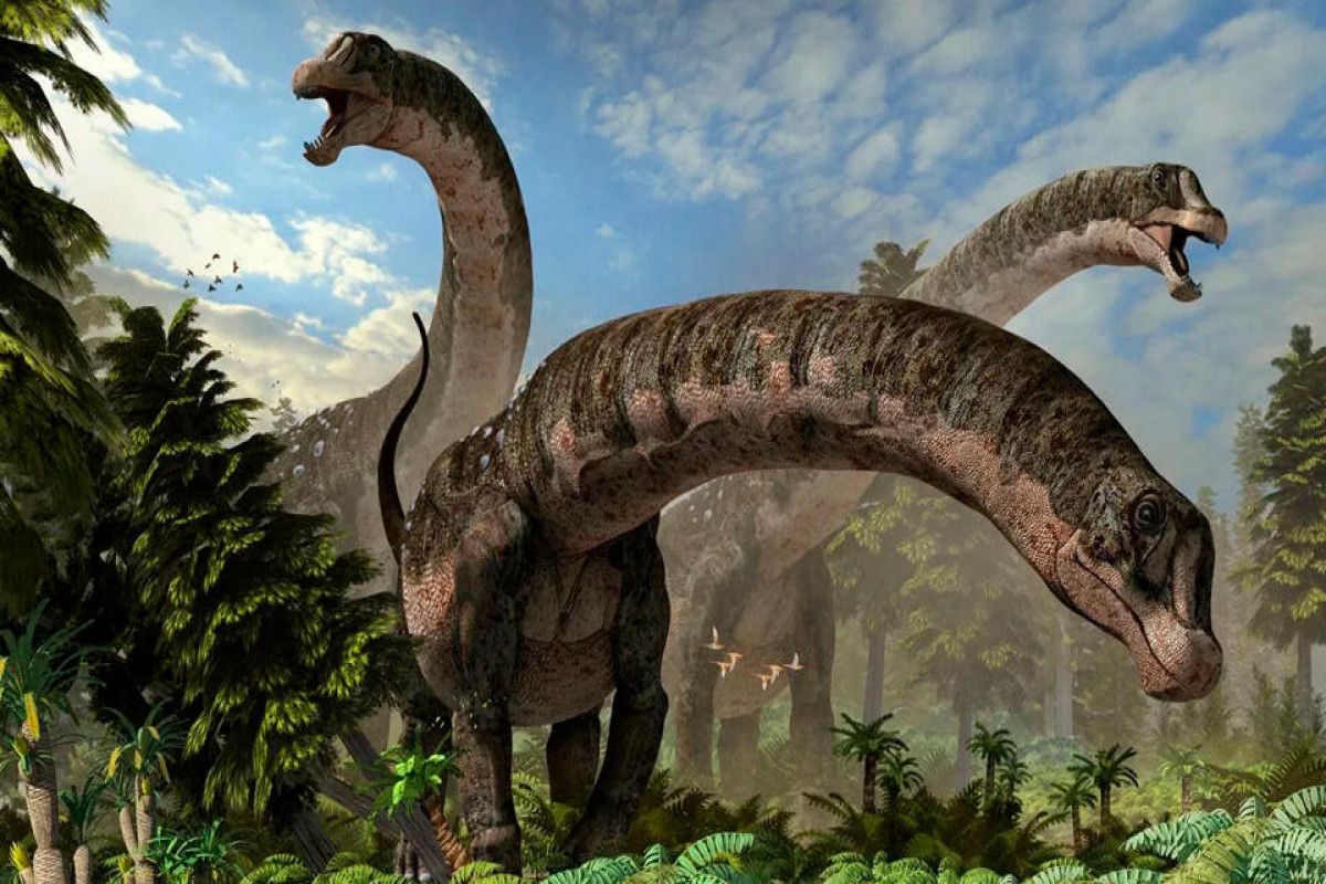 Ученые открыли новые факты о жизни динозавров 193 млн лет назад