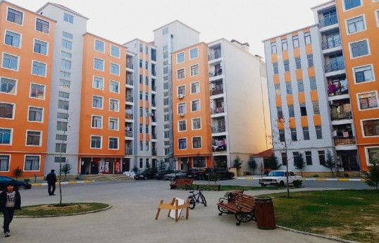 В жилом комплексе Баку заметили лесного жителя-ФОТО 