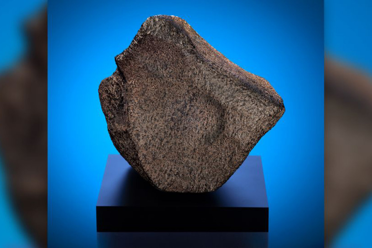 Крупнейший марсианский метеорит выставили в американском музее