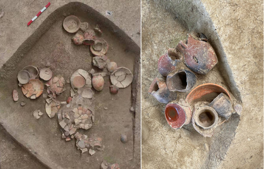 В Китае нашли остатки рисового пива возрастом 9000 лет