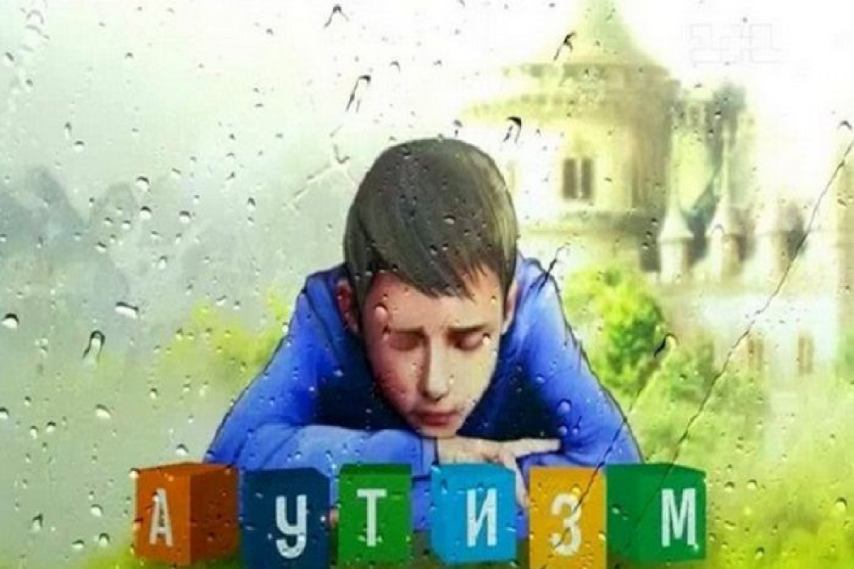 В Азербайджане для 30 молодых людей с аутизмом будут проведены учения по профессиональной подготовке
