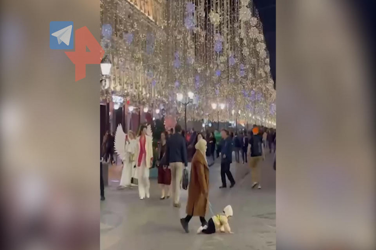Выгуливающая малыша на поводке мать удивила москвичей-ВИДЕО 