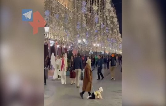 Выгуливающая малыша на поводке мать удивила москвичей-ВИДЕО 