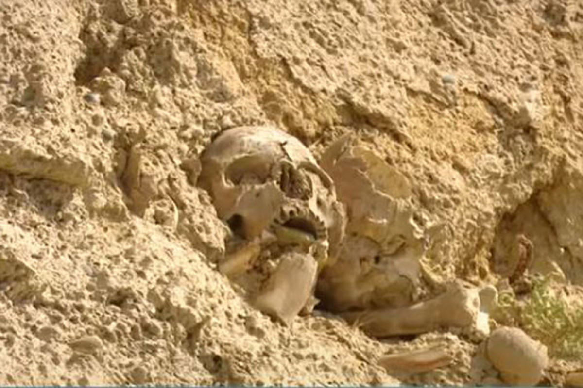 В Баку обнаружены человеческие скелеты-ФОТО 