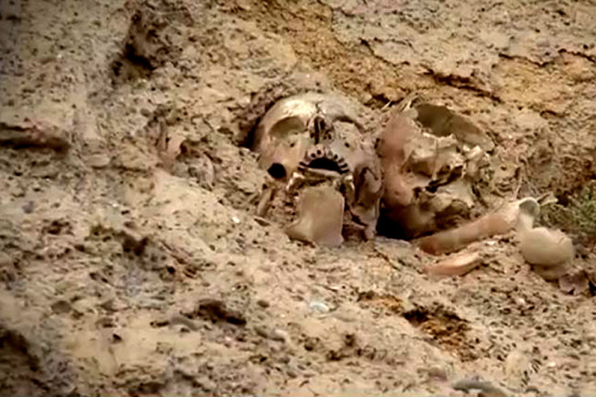 В Баку обнаружены человеческие скелеты-ФОТО 